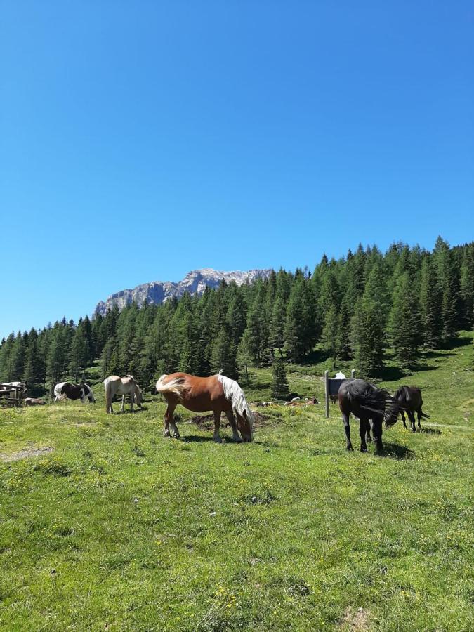 Hotel Berghof Sonnenalpe Nassfeld Exteriér fotografie