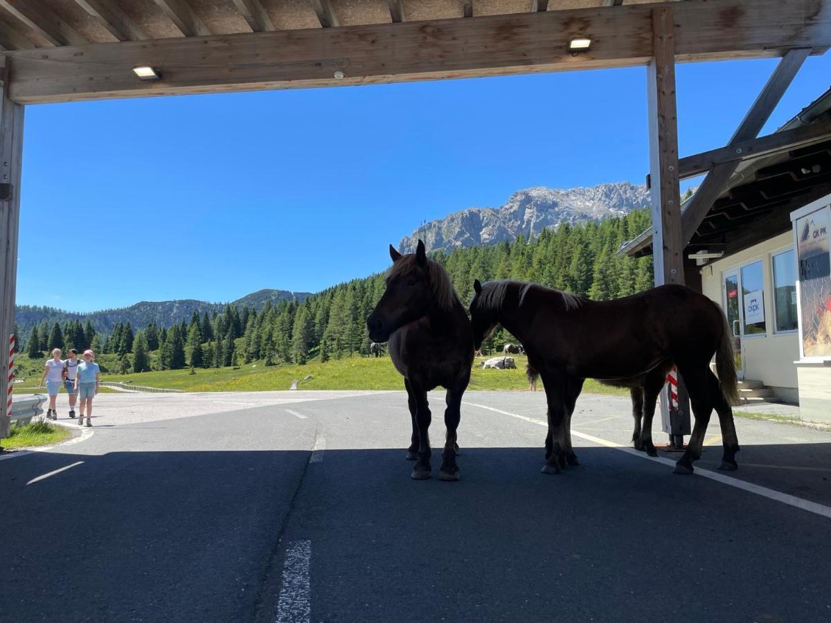 Hotel Berghof Sonnenalpe Nassfeld Exteriér fotografie